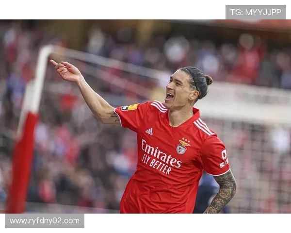 努涅斯本菲卡时期荣誉解析：成名基础是否扎实